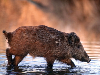 Πέρασαν απέναντι για να σωθούν